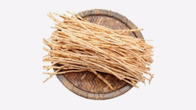 鲜茅根