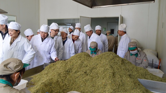 盛世龙教您如何确保中药饮片的保质期