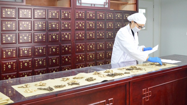 盛世龙浅析中药饮片的发展现状