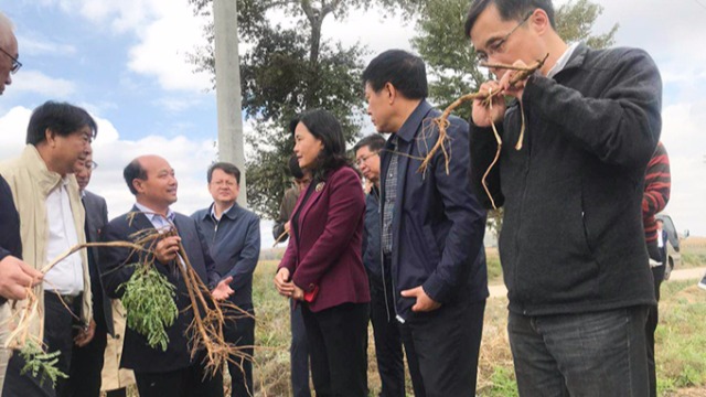 北京3003新葡的京集团业积极推动国家中医药管理局科技项目