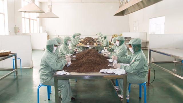 盛世龙为您解析中药饮片掺杂使假会对质量有什么影响