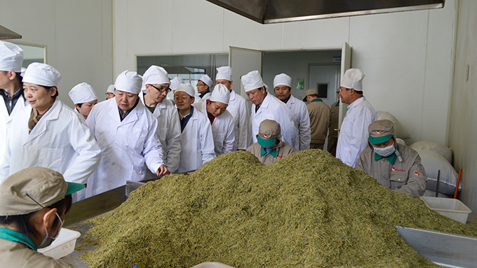 盛世龙教您如何确保中药饮片的保质期