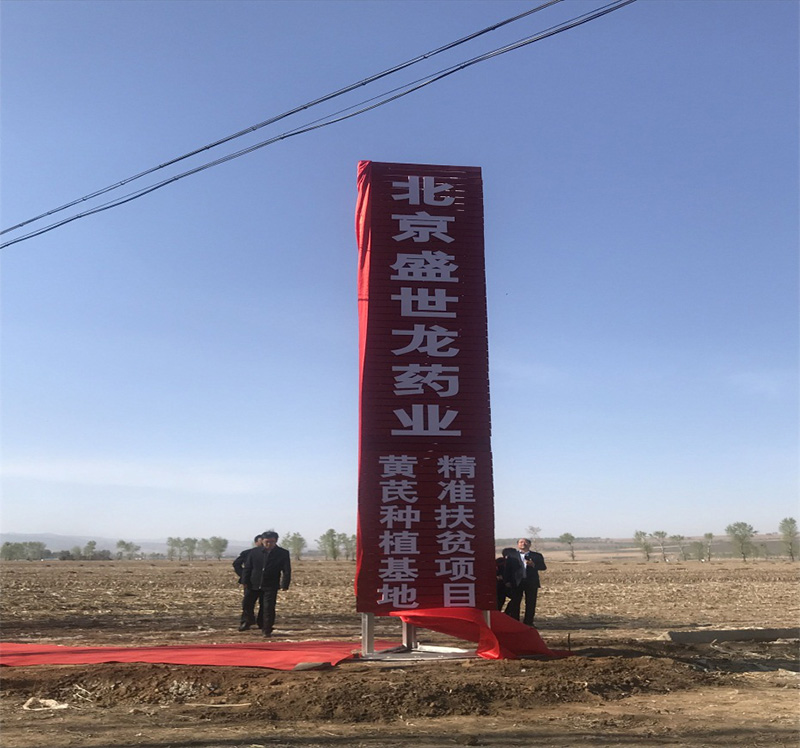 北京盛世龙精准扶贫，共建黄芪种植基地