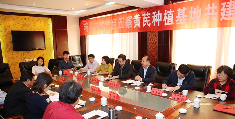 北京盛世龙精准扶贫，共建黄芪种植基地