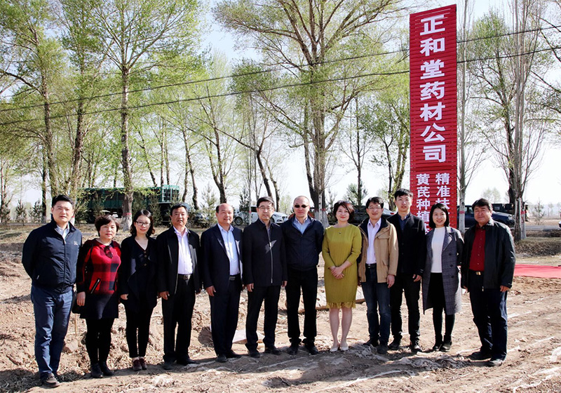 北京盛世龙精准扶贫，共建黄芪种植基地